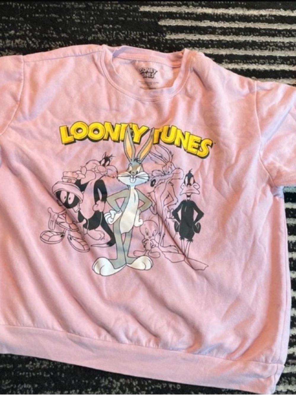 Warner Bros. Pink  Graphic Sweatshirt